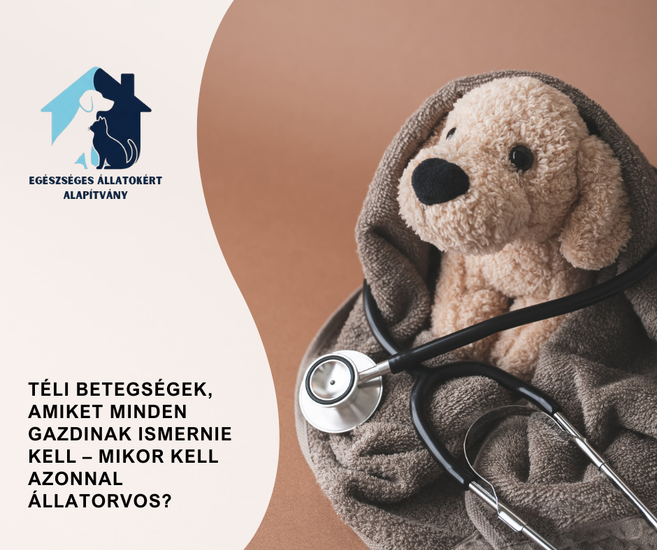 allatbetegsegek
